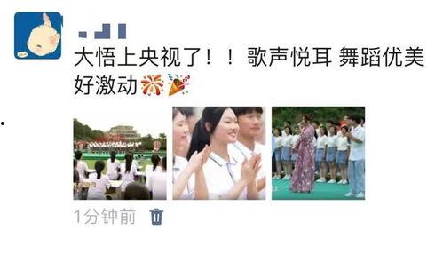 大悟电视直播在线观看,大悟电视直播在线观看指南  第3张