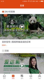 新闻爆料 视频,揭秘事件真相，引发社会关注  第2张